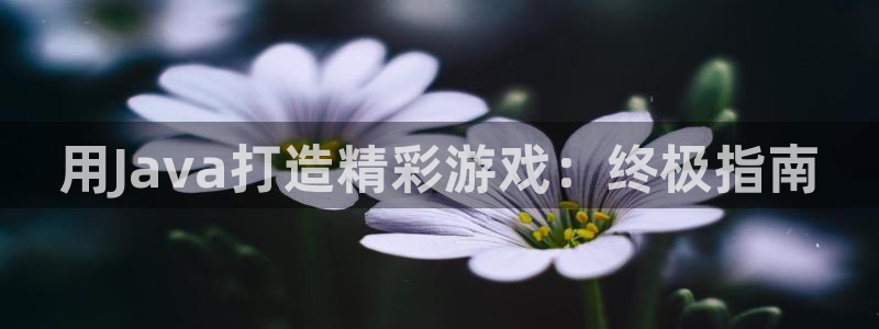 沐鸣2代理求27337