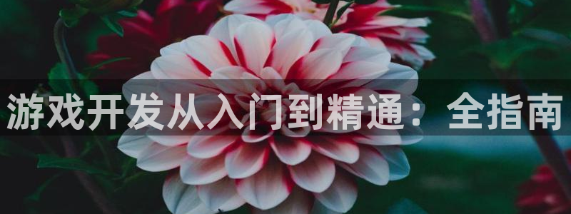 沐鸣娱乐2官网网址是多少