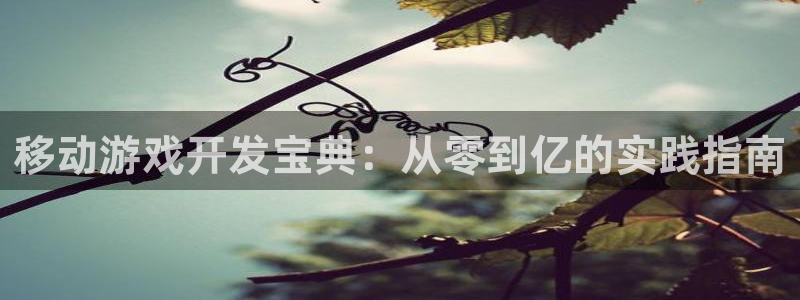 沐鸣2登陆