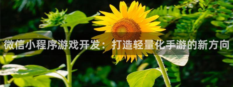 沐鸣娱乐2官方平台投诉