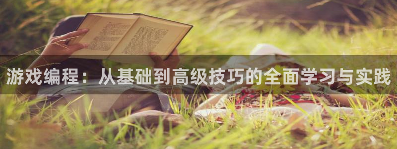 沐鸣2平台负责人：游戏编程：从基础到高级技巧的全面学习与实践