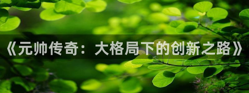 沐鸣2注册说来77542：《元帅传奇：大格局下的创新之路》