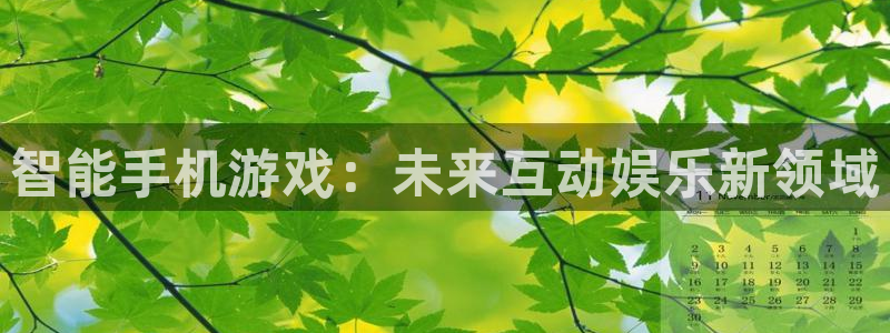 沐鸣娱乐2登录平台是什么软件：智能手机游戏：未来互动娱乐新领域