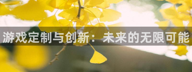沐鸣2平台在线注册：游戏定制与创新：未来的无限可能