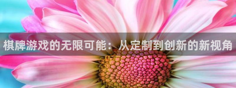 沐鸣2注册33300tg：棋牌游戏的无限可能：从定制到创新的新视角