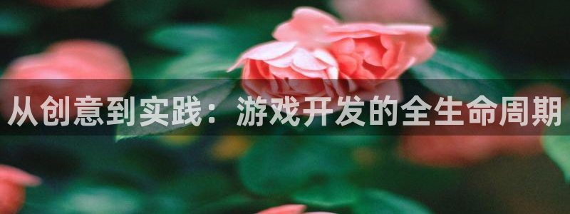 沐鸣娱乐2登录平台官网网址：从创意到实践：游戏开发的全生命周期