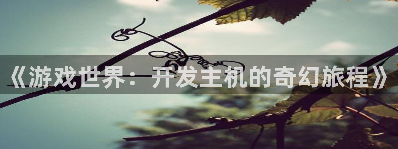 沐鸣娱乐2测速登陆：《游戏世界：开发主机的奇幻旅程》