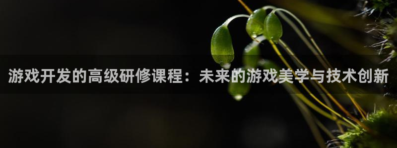 沐鸣2注册首页：游戏开发的高级研修课程：未来的游戏美学与技术创新