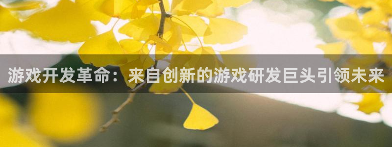 沐鸣2平台关7O777：游戏开发革命：来自创新的游戏研发巨头引领未来