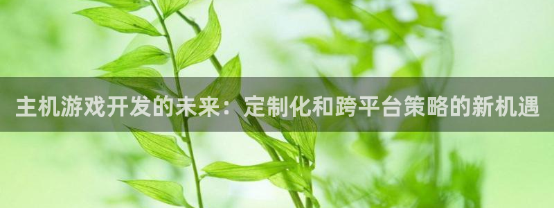 沐鸣娱乐2官方：主机游戏开发的未来：定制化和跨平台策略的新机遇