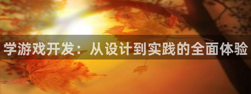 沐鸣娱乐2官方网站：学游戏开发：从设计到实践的全面体验