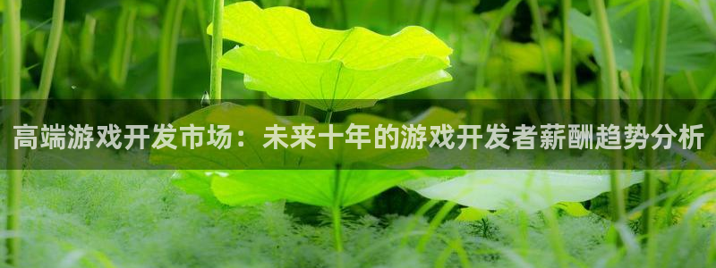 沐鸣娱乐2游戏说明：高端游戏开发市场：未来十年的游戏开发者薪酬趋势分析