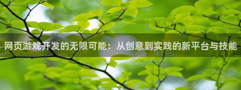 沐鸣2官网：网页游戏开发的无限可能：从创意到实践的新平台与技能
