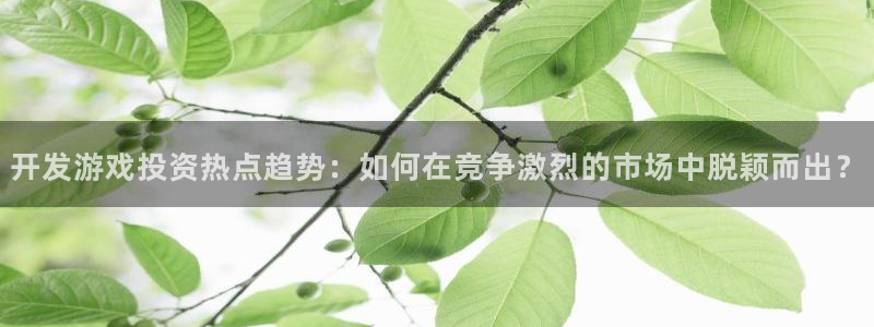 沐鸣2注册丘27337：开发游戏投资热点趋势：如何在竞争激烈的市场中脱颖而出？