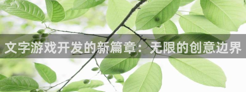 沐鸣娱乐2登录平台官网：文字游戏开发的新篇章：无限的创意边界