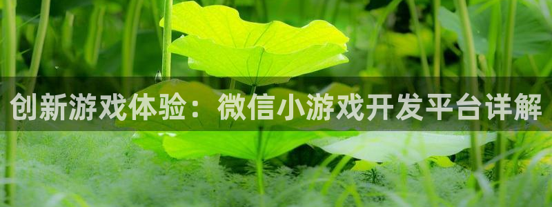 沐鸣2注册连接：创新游戏体验：微信小游戏开发平台详解