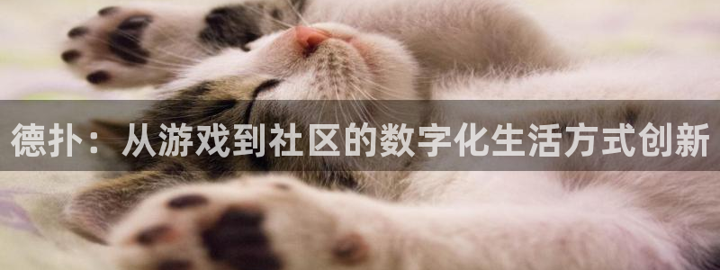 沐鸣娱乐2注册官网：德扑：从游戏到社区的数字化生活方式创新