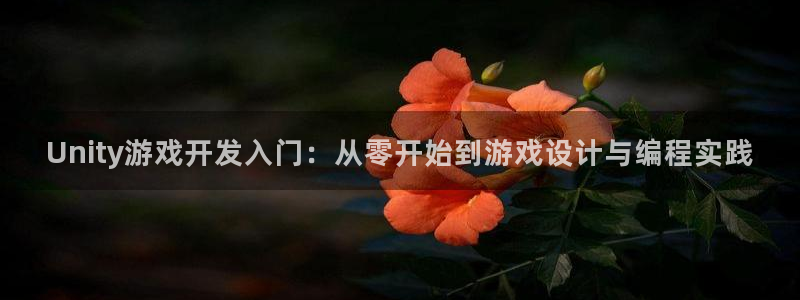 沐鸣2账号注册：Unity游戏开发入门：从零开始到游戏设计与编程实践