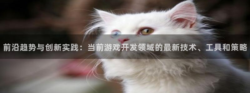 沐鸣平台由44262：前沿趋势与创新实践：当前游戏开发领域的最新技术、工具和策略