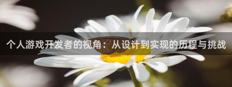 沐鸣娱乐2是正规平台么：个人游戏开发者的视角：从设计到实现的历程与挑战