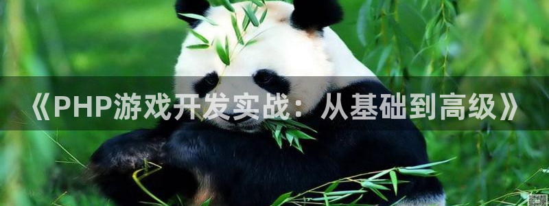 沐鸣平台由44262：《PHP游戏开发实战：从基础到高级》