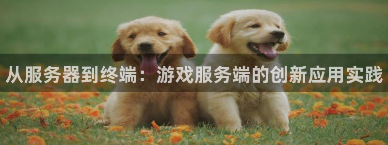 沐鸣2登录地址：从服务器到终端：游戏服务端的创新应用实践